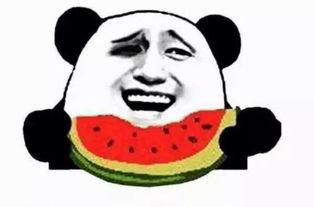 a吃瓜群众,揭秘娱乐圈背后的故事