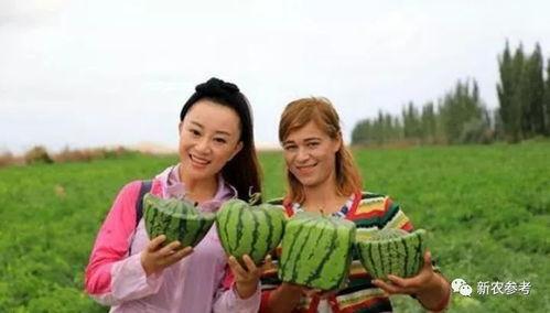 世界各国人吃瓜群众是谁,不同国家文化中的旁观者形象