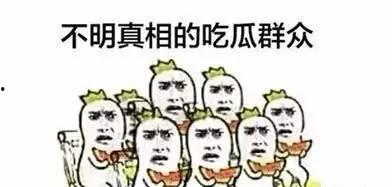 老外吃瓜群众视频,揭秘老外吃瓜群众视角下的中国热点事件