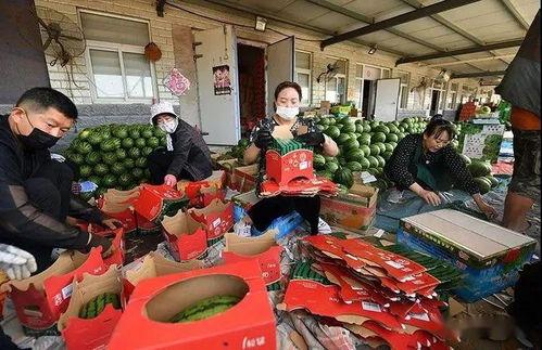 青岛酒店吃瓜群众事件,一场网络舆论的风波与反思