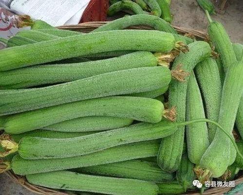 爱吃虾的吃瓜群众