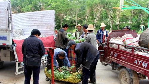 曹县大润发吃瓜群众,吃瓜群众的欢乐盛宴