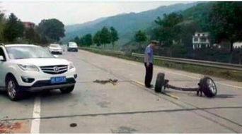 做个不明事理的吃瓜群众,跟随不明事理吃瓜群众，探寻明星幕后真相