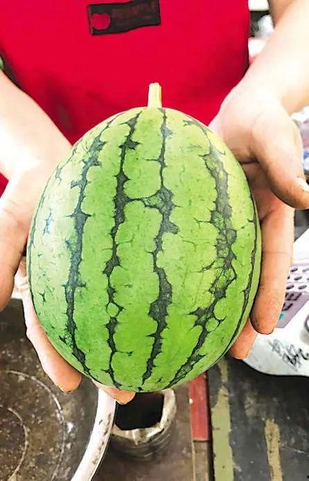 平度吃瓜群众事件最新