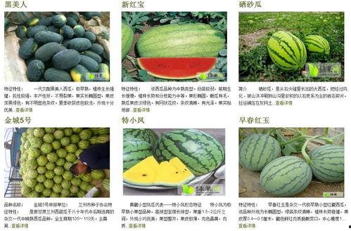 在年代文里的吃瓜群众