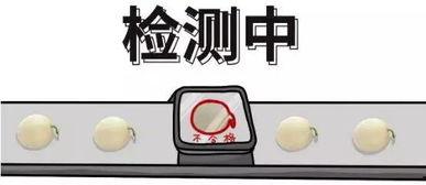 面试题吃瓜群众,揭秘职场面试的趣味与真相