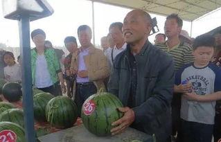 银海区吃瓜群众事件真相,揭开真相背后的真相